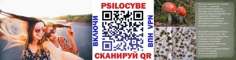Псилоцибиновые грибы MAGIC MUSHROOMS  гидра онион  Ковылкино  купить  